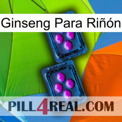 Ginseng Para Riñón 03